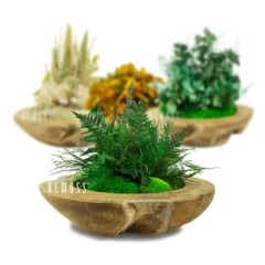 Teakholz Schalen