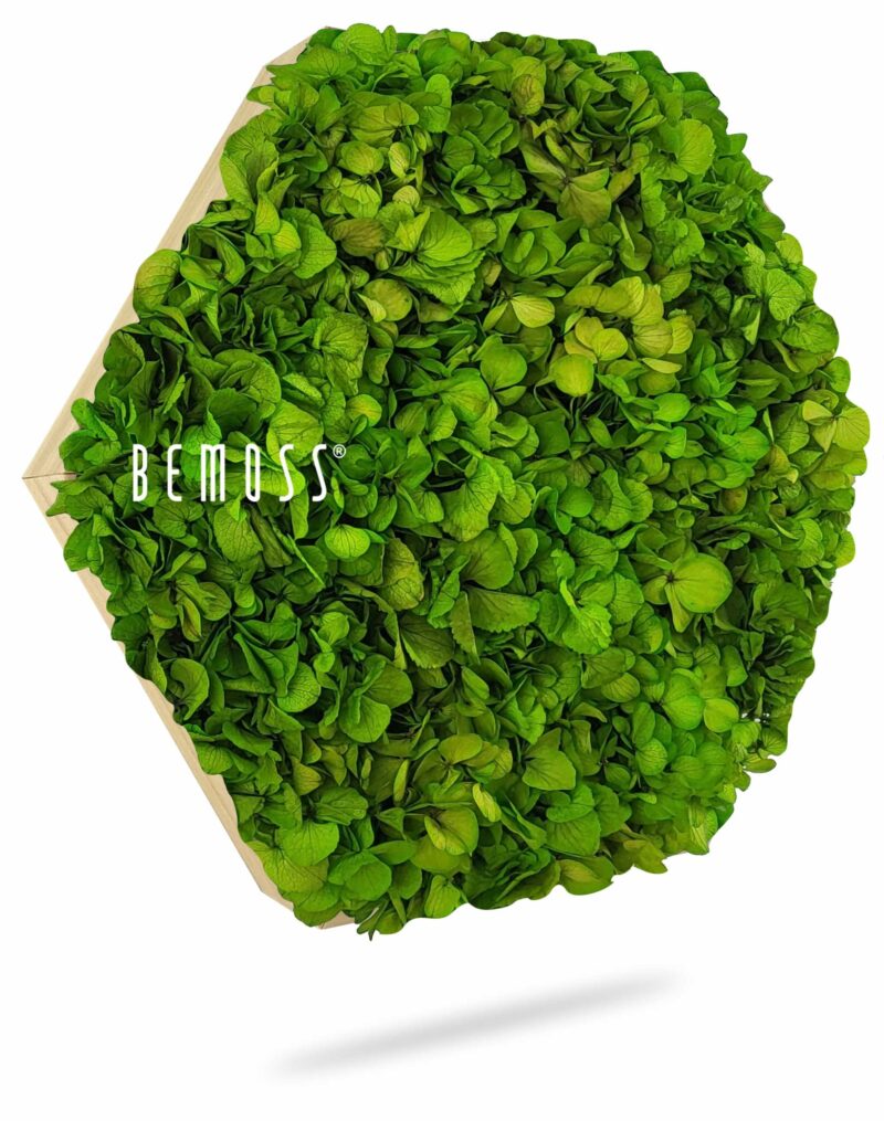 Moosbild Hexagon BEMOSS® MIMI