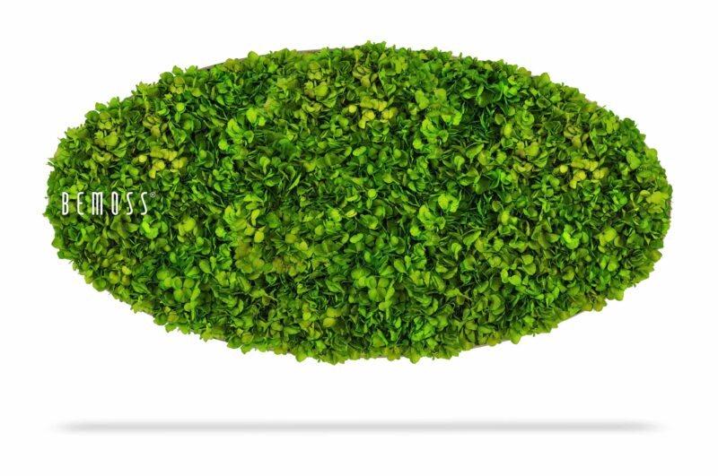 Moosbild Ellipse BEMOSS® MIMI