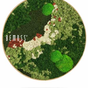 obrázok zelenej rastliny s nápisom bemos bielym písmom na zelenom pozadí, environmentálne umenie , machovy obraz, stabilizovany mach, machová stena, machová dekorácia