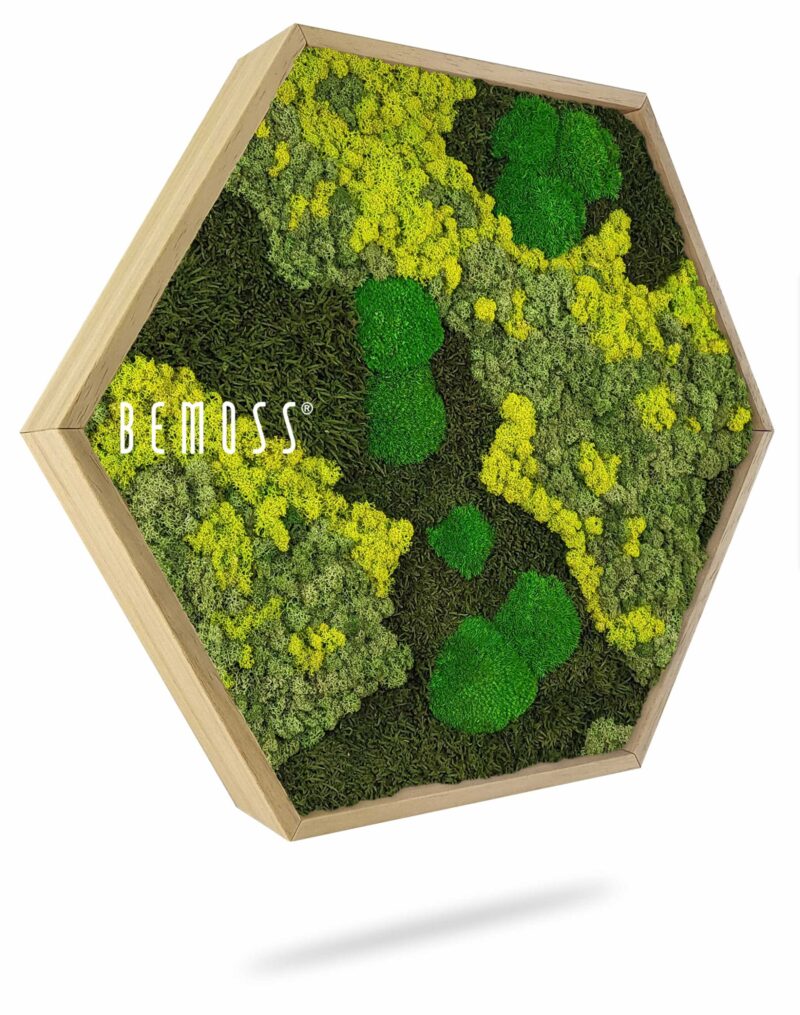 Moosbild Hexagon BEMOSS® ORTHO LIME