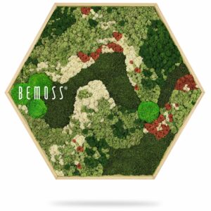 zeleno-biela plocha so zelenou rastlinou a nápisom buď mach nad ňou v šesťhrannom ráme, environmentálne umenie , machovy obraz, stabilizovany mach, machová stena, machová dekorácia