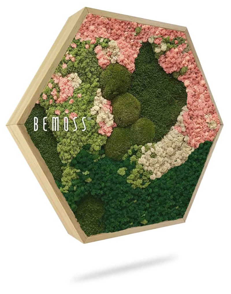 Moosbild Hexagon BEMOSS® ORTHO PINK