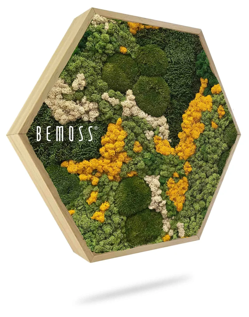 Moosbild Hexagon BEMOSS® ORTHO YELLOW