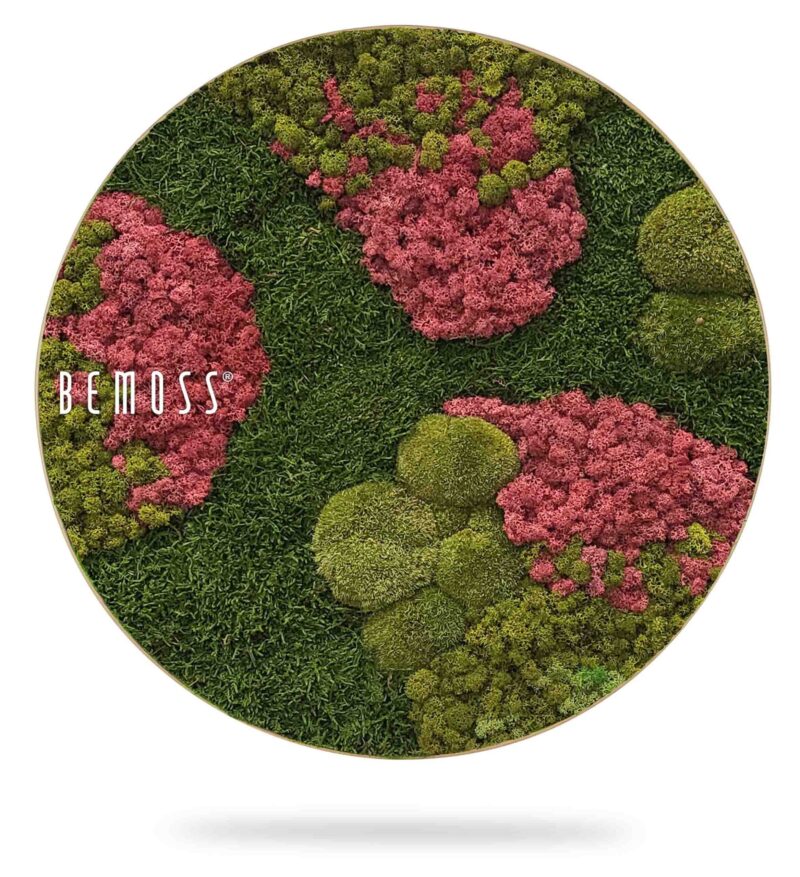 Moosbild Rund BEMOSS® ORTHO BURGUNDY