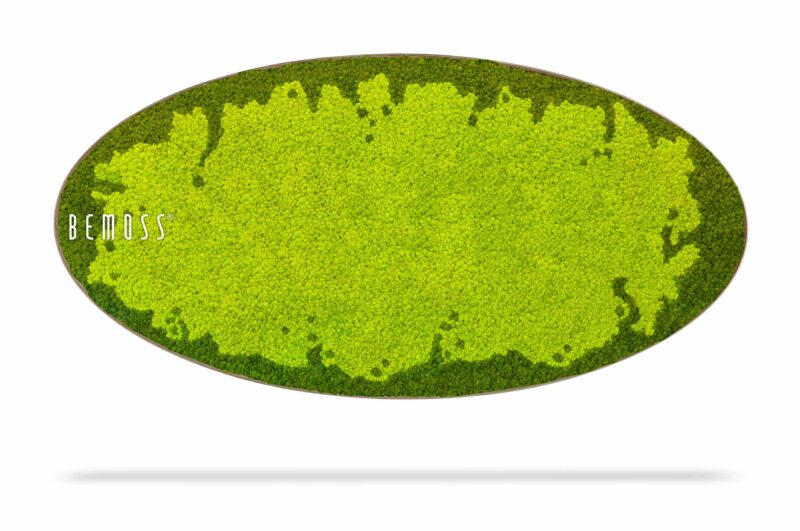 Moosbild Ellipse BEMOSS® MARE