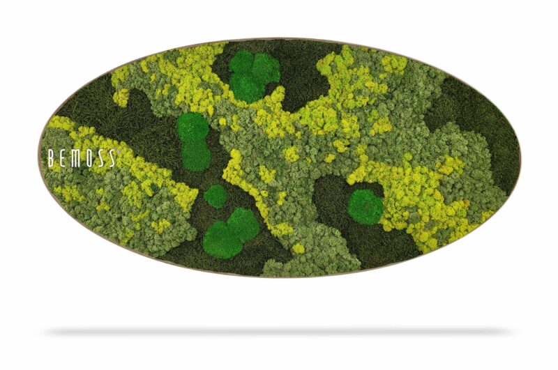 Moosbild Ellipse BEMOSS® ORTHO LIME
