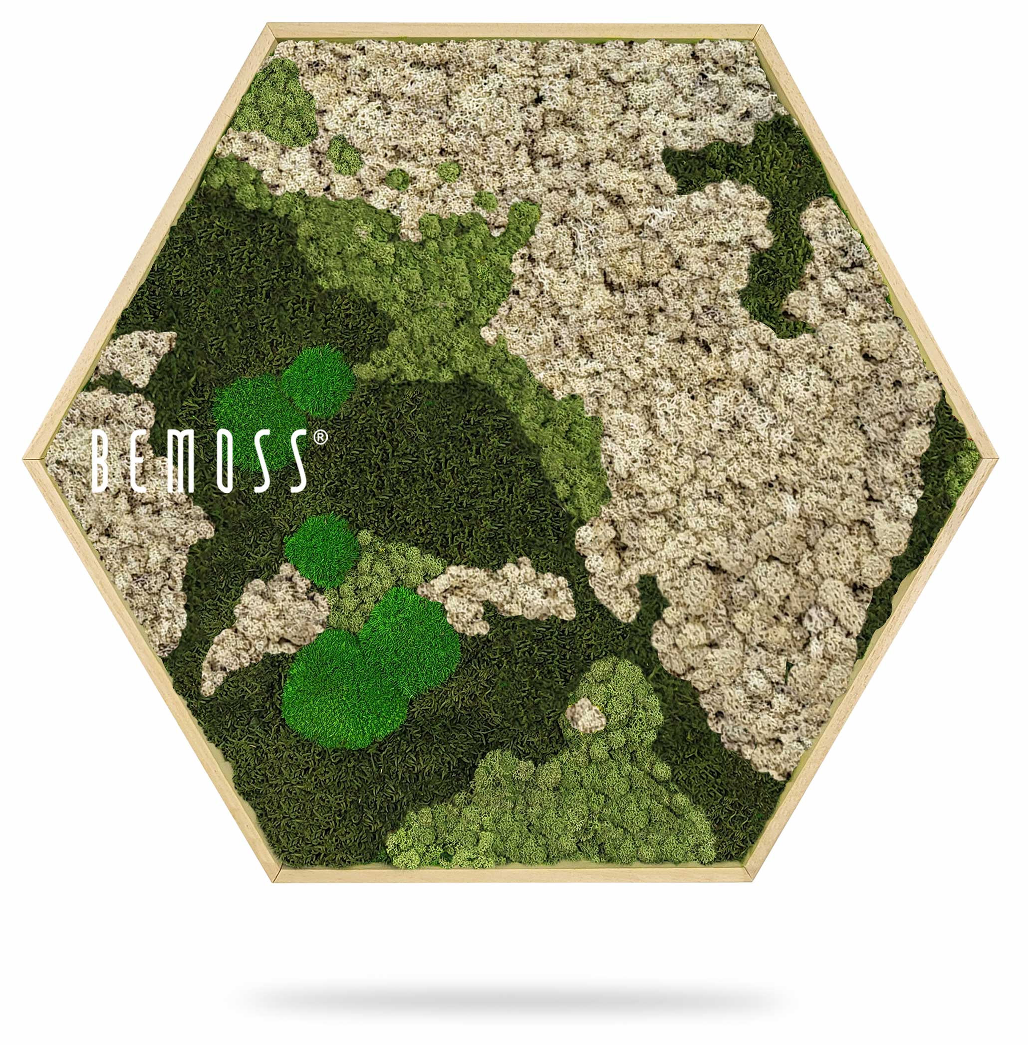 mapa machu s nápisom byť machom v šesťhrannom ráme s bielym pozadím, ekologické umenie , machovy obraz, stabilizovany mach, machová stena, machová dekorácia