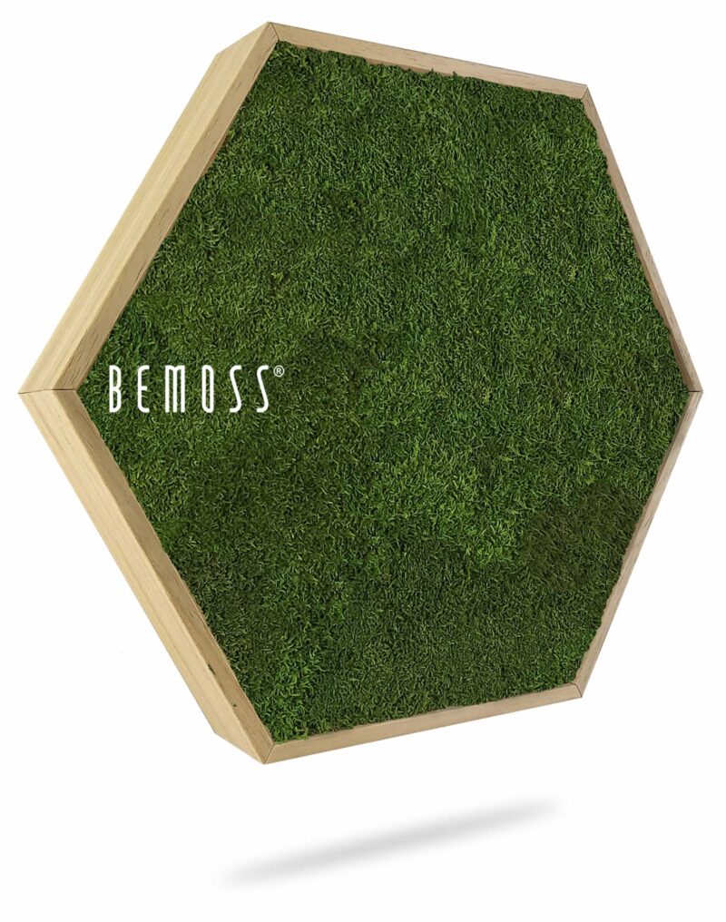 Moosbild Hexagon FLACHMOOS