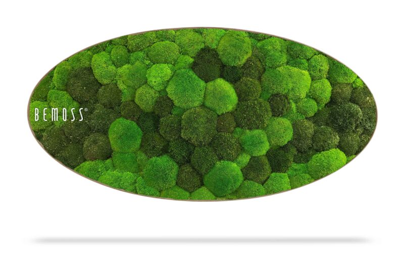 Moosbild Ellipse KUGELMOOS DUO Light Green