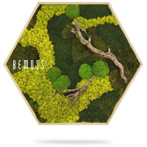 machom pokrytá oblasť so stromami a kríkmi s nápisom „buď mach“ v strede, environmentálne umenie , machovy obraz, stabilizovany mach, machová stena, machová dekorácia