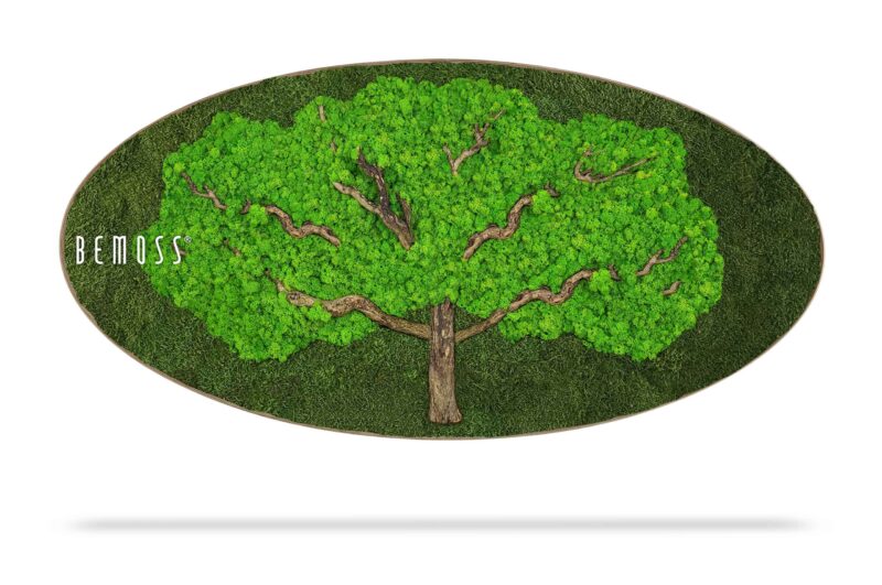 Moosbild Ellipse BEMOSS® BAUM