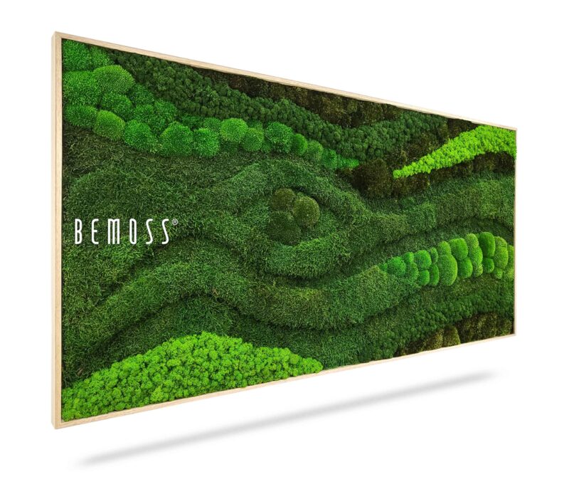 Moosbild BEMOSS® ORTHO TOCÓN