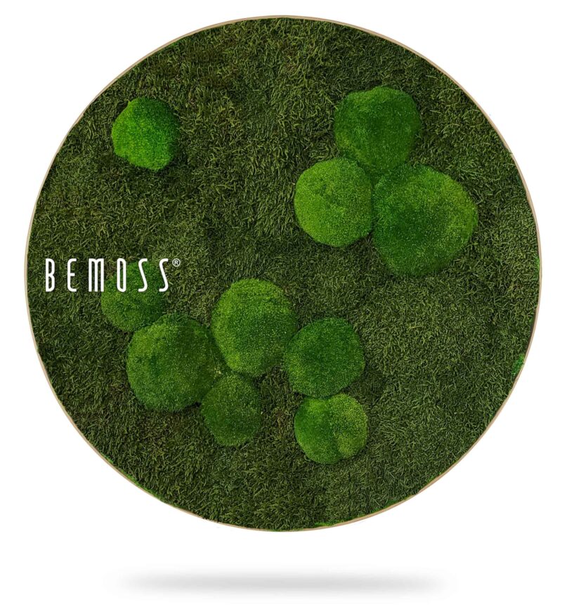 Moosbild Rund FLACHMOOS & KUGELMOOS Natural Green