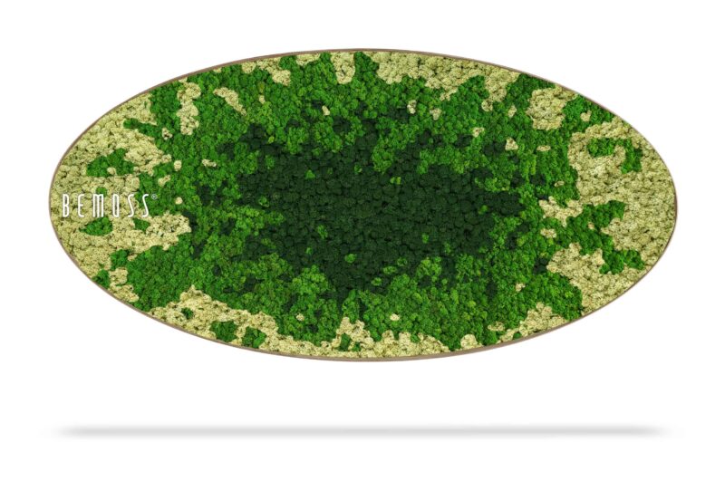 Moosbild Ellipse BEMOSS® SPLASH Green