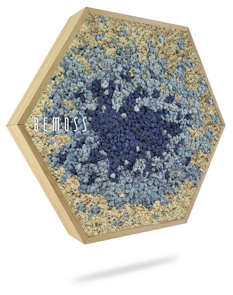 Moosbild Hexagon BEMOSS® ORTHO SPLASH