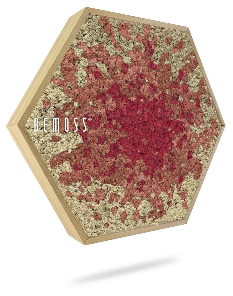 Moosbild Hexagon BEMOSS® ORTHO SPLASH Pink