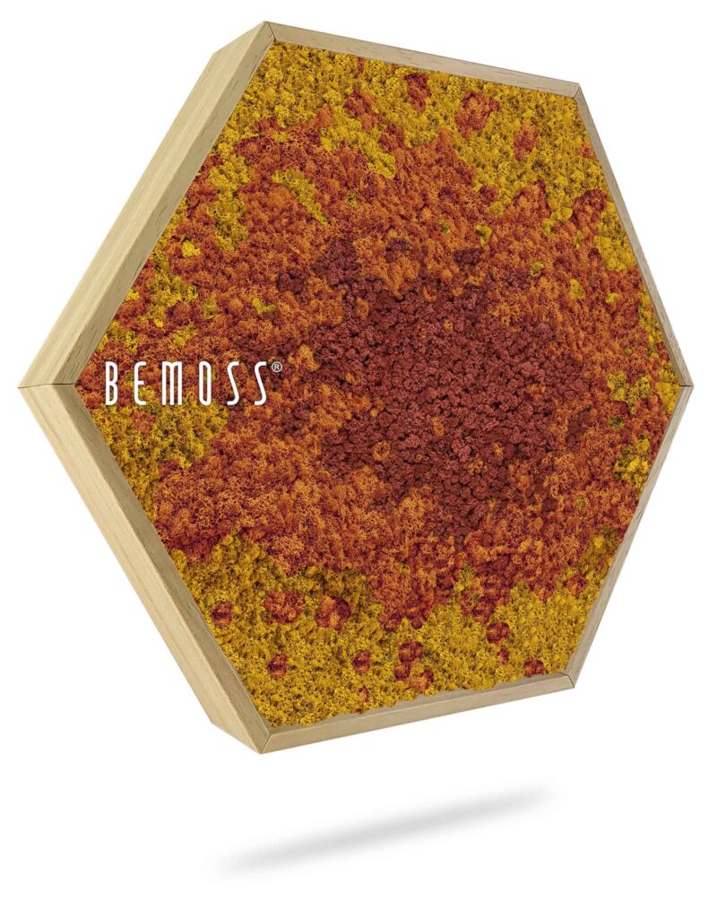 Moosbild Hexagon BEMOSS® ORTHO SPLASH Sienna
