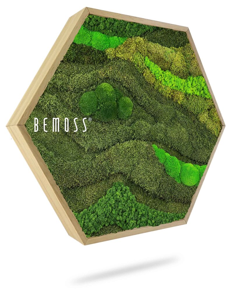Moosbild Hexagon BEMOSS® ORTHO TOCÓN