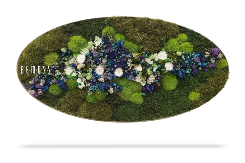 Moosbild Ellipse PFLANZEN Acebo BLUE