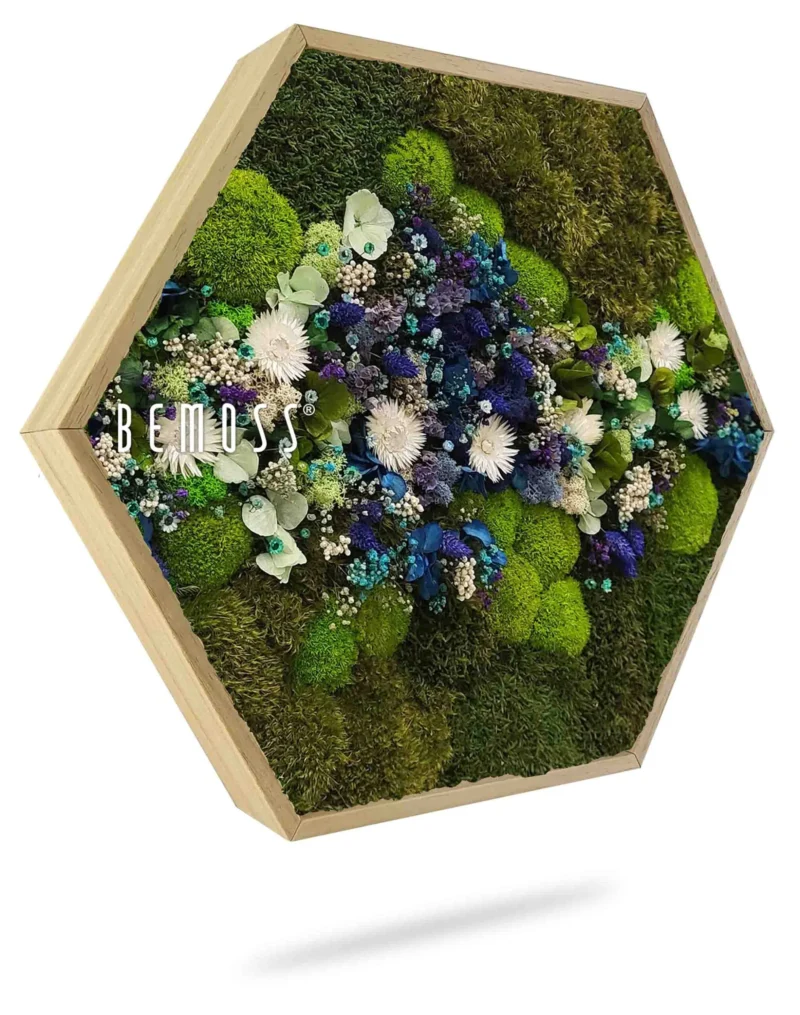 Moosbild Hexagon PFLANZEN Acebo BLUE