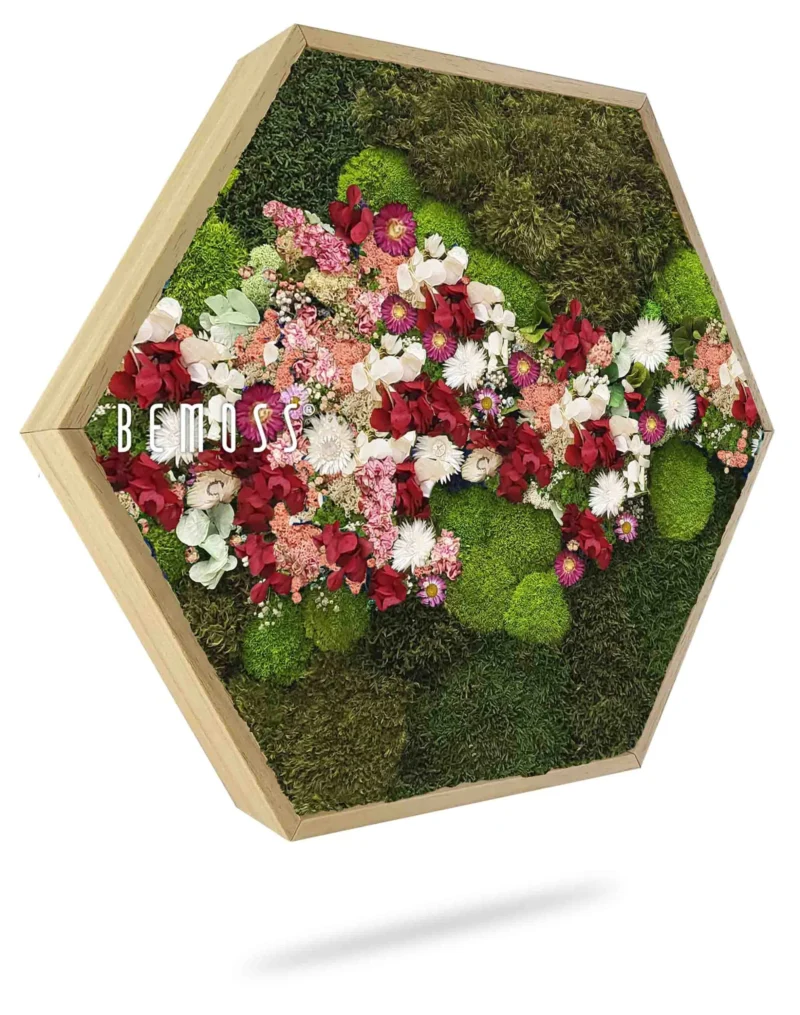 Moosbild Hexagon PFLANZEN Acebo PINK