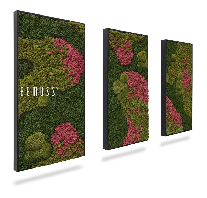 Moosbild Set BEMOSS® ORTHO BURGUNDY