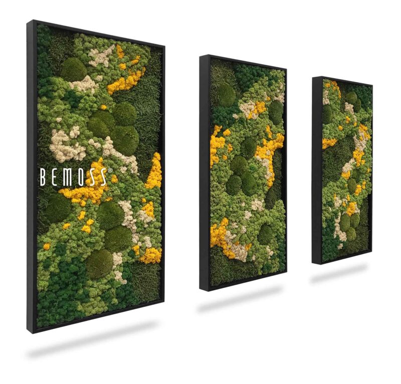 Moosbild Set BEMOSS® ORTHO YELLOW