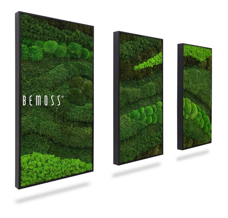 Moosbild Set BEMOSS® ORTHO TOCÓN