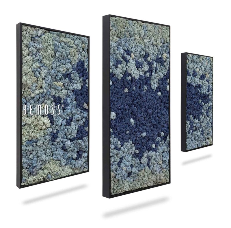 Moosbild Set BEMOSS® ORTHO SPLASH