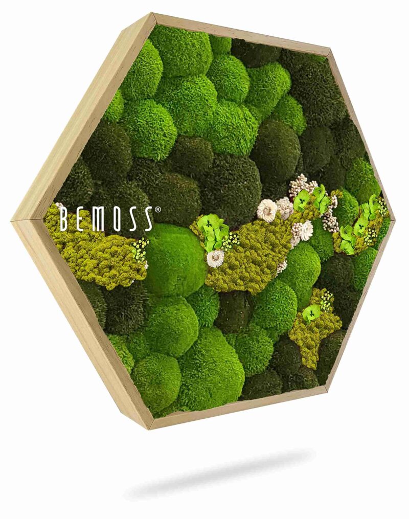 Moosbild Hexagon KUGELMOOS COSMO Lime