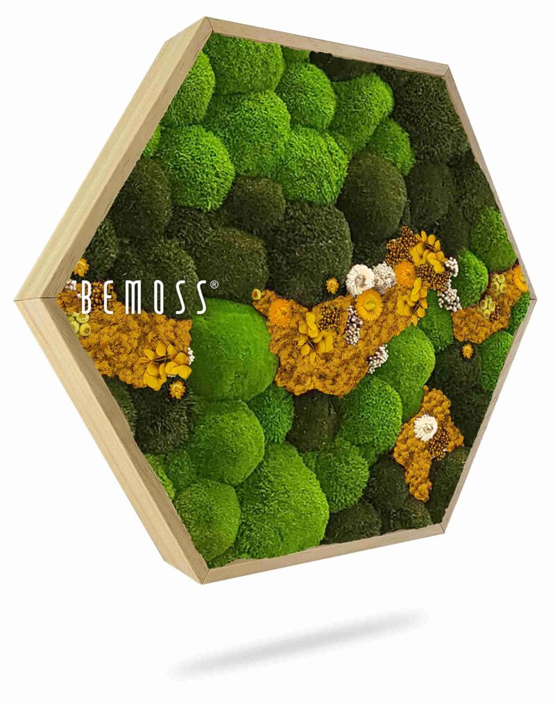 Moosbild Hexagon KUGELMOOS COSMO Yellow