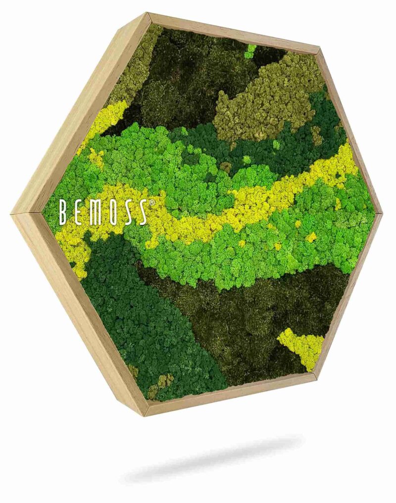 Moosbild Hexagon BEMOSS® ORTHO CARROT