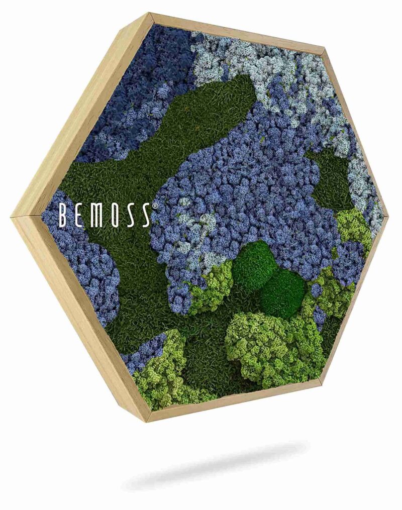 Moosbild Hexagon BEMOSS® ORTHO OMBRE Blue