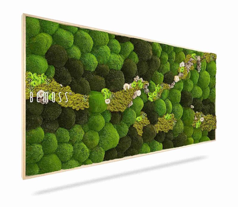 Moosbild KUGELMOOS COSMO Lime