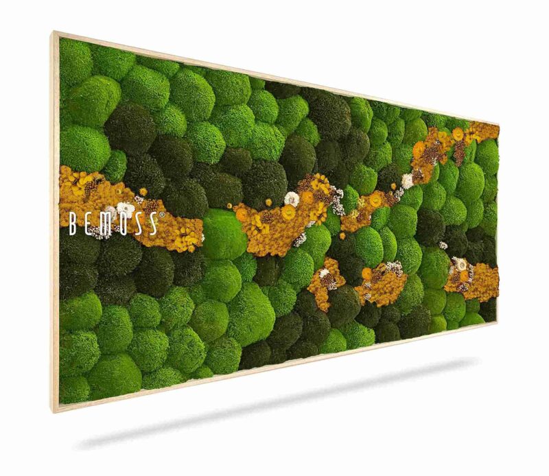Moosbild KUGELMOOS COSMO Yellow