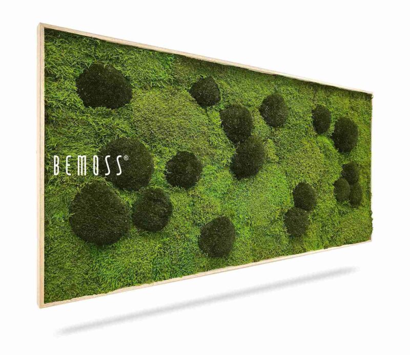 Moosbild FLACHMOOS & KUGELMOOS Peva  120x60cm Hellbrauner Rahmen