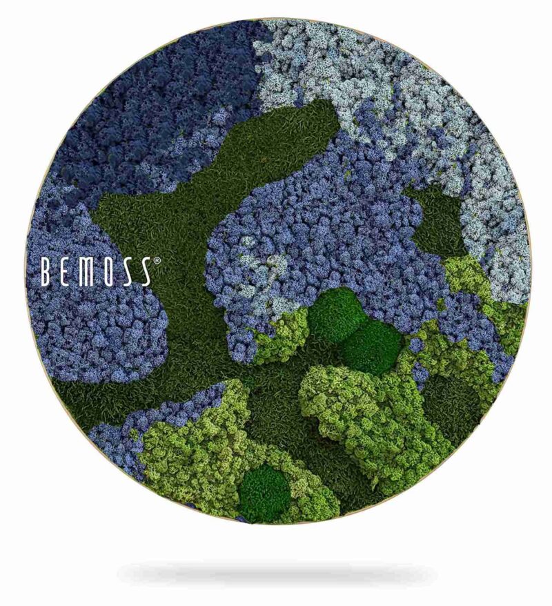 Moosbild Rund BEMOSS® ORTHO OMBRE Blue
