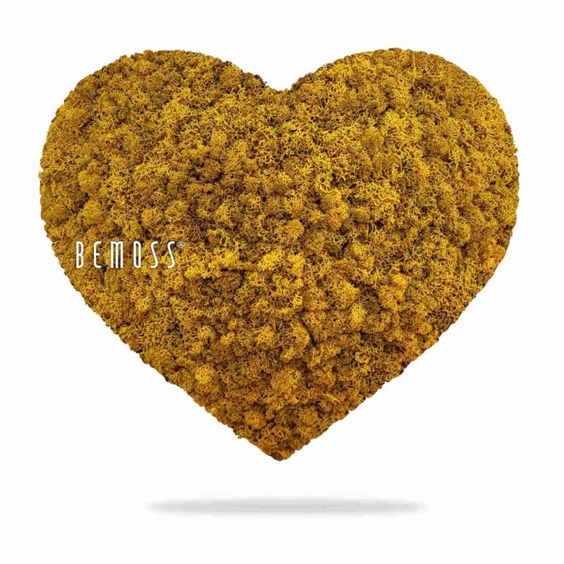Moos HERZEN ISLANDMOOS mono YELLOW