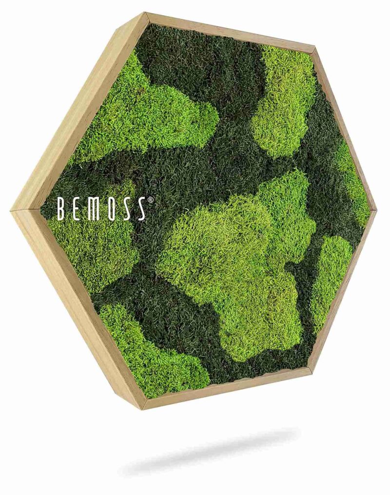 Moosbild Hexagon FLACHMOOS BOVINO