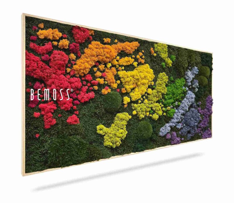 Moosbild BEMOSS® ORTHO IRIS